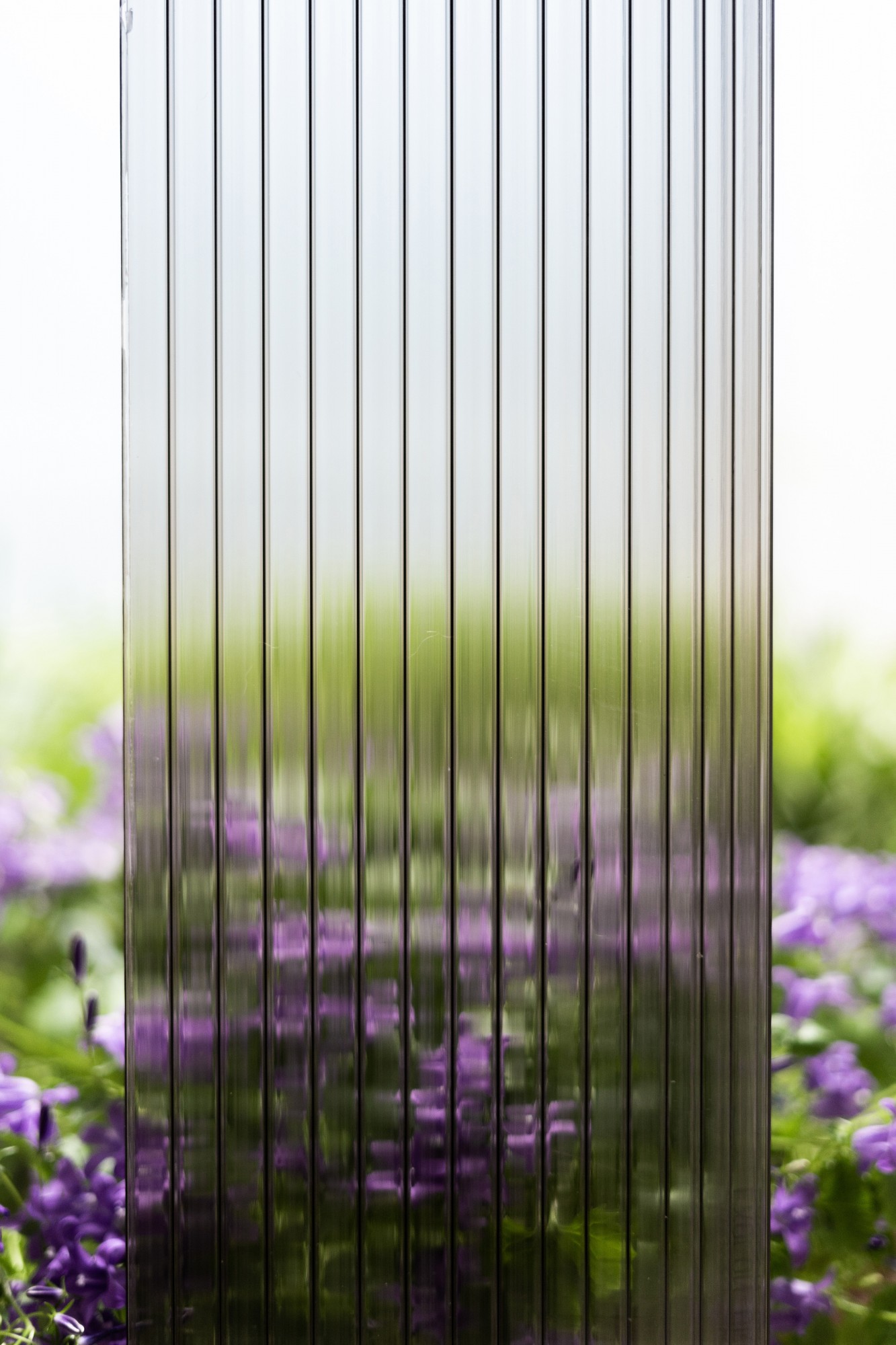 PlexiTrade