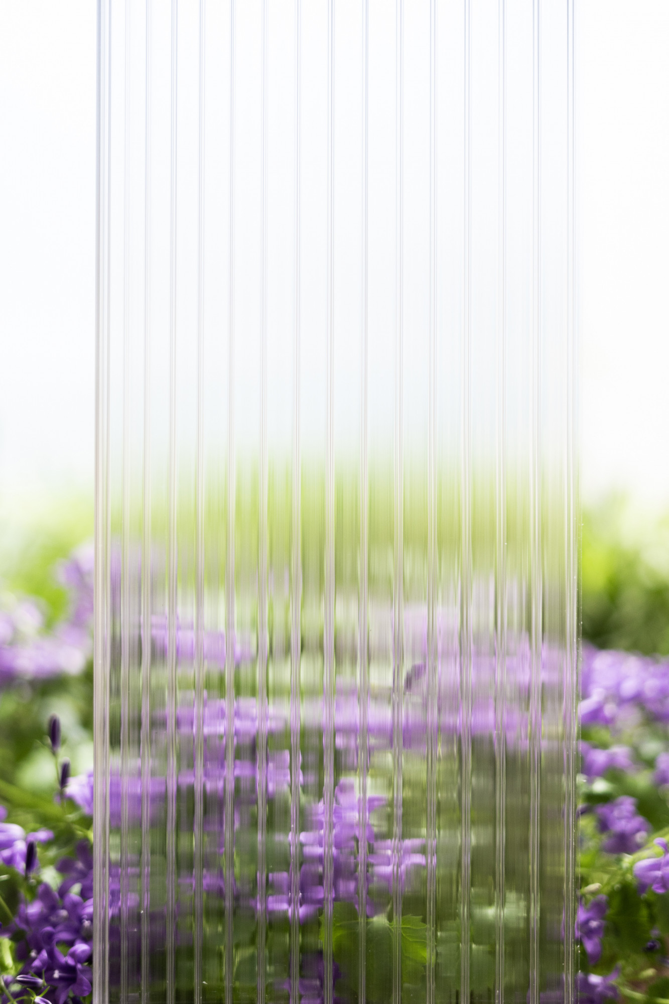 PlexiTrade